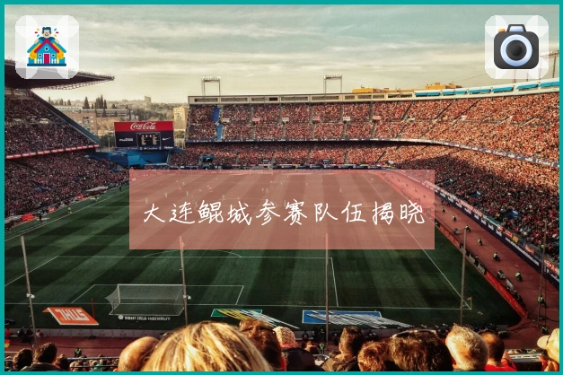 大连鲲城参赛队伍揭晓